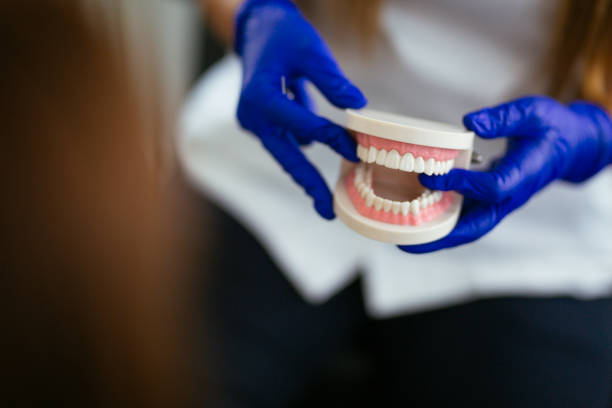 Best Dental Fillings (Composite and Amalgam)  in Oral City, FL